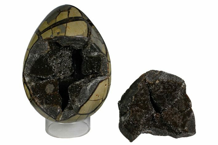 Polished Septarian Puzzle Geode - Black Crystals #172136